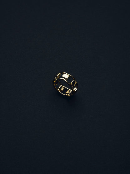 Reflection Link Ring